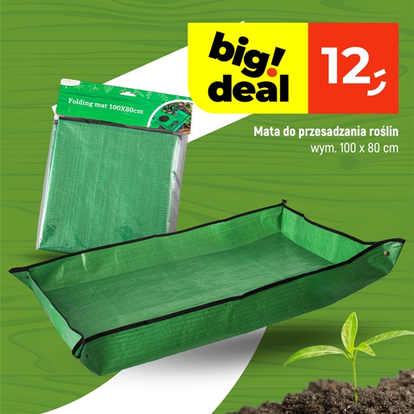Aktualna oferta w Dealz