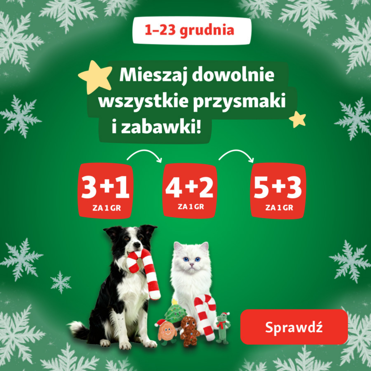 Prezenty dla pupila, czyli świąteczny poradnik od Maxi Zoo